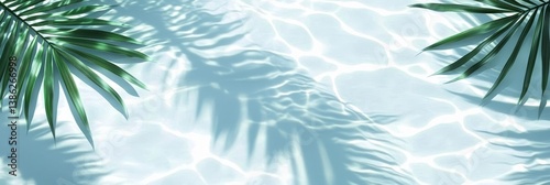Palm Fronds and Water Ripple Shadow Overlay, Summer , Vacation
