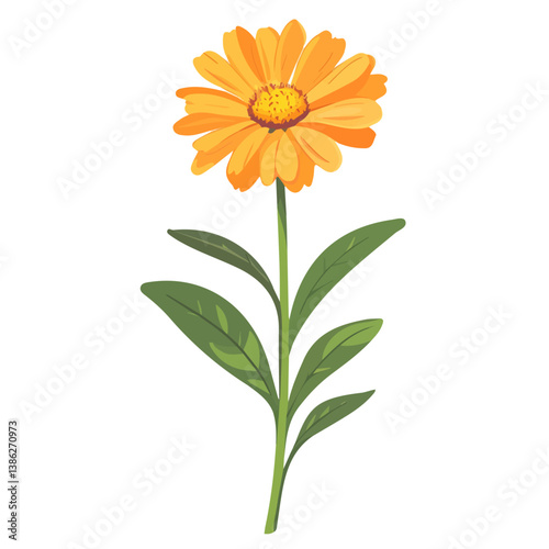 Flat vector calendula, minimalist design, isolated on a white background.

