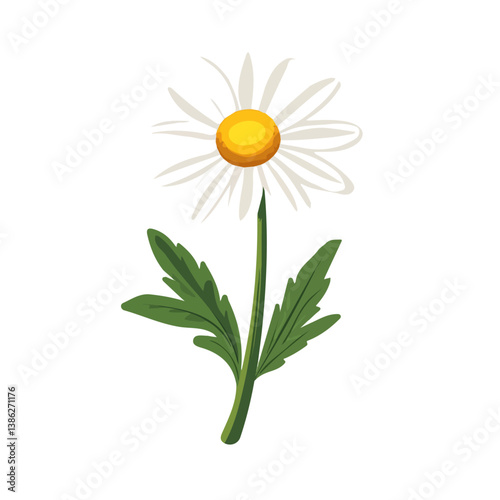 Flat vector chamomile flower, minimalist design, isolated on a white background.

