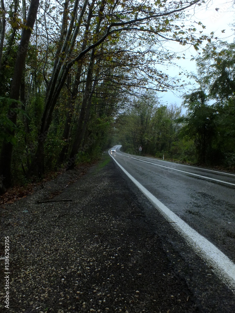 Fototapeta premium Green tree tunnel in spring