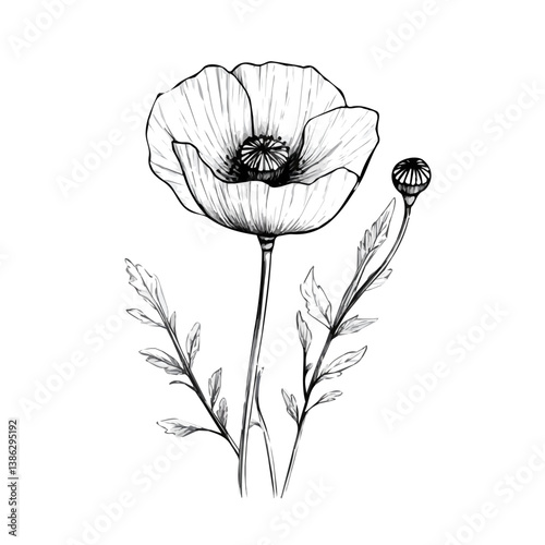 Poppy Seed 2D flat vector illustration, isolated on a white background.
