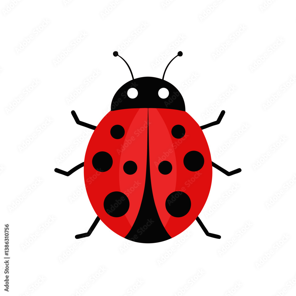 ladybird vector illustration ladybird vector illustration