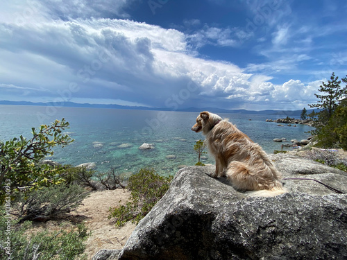 Dog Beach Hike in Tahoe