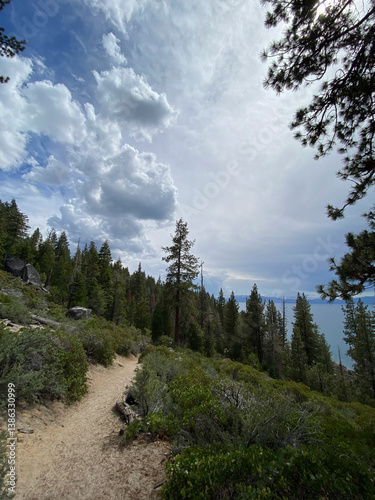 Dog Beach Hike in Tahoe