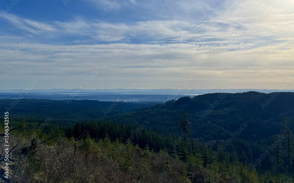 Naklejka premium Seattle harbor viewed from Green Mountain, Washington