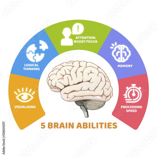 5 Brain Abilities, Human Brain, Cognitive Intelligence, Science, Neurology