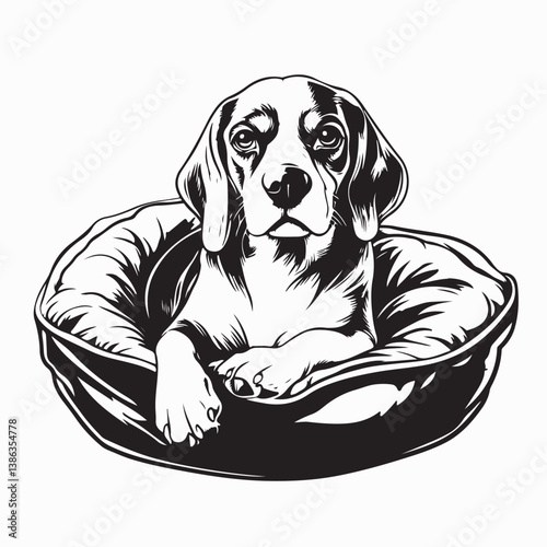 Beagle in bed Images vector. Black and white Dog Resting Vector Images.