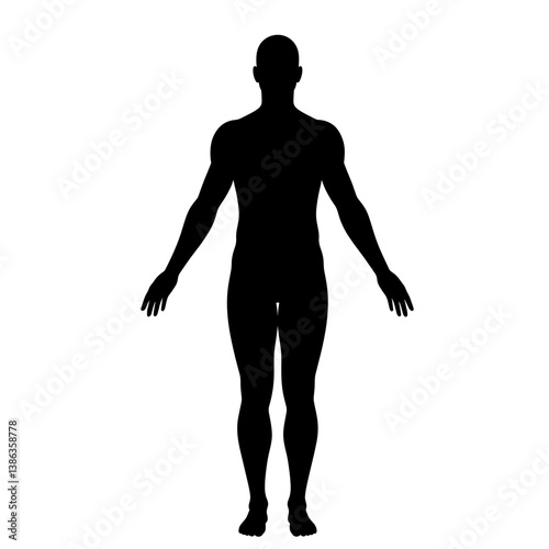 Human Silhouette: A stark, silhouette of human, isolated against a clean backdrop, accentuating the form and shape of the human figure.