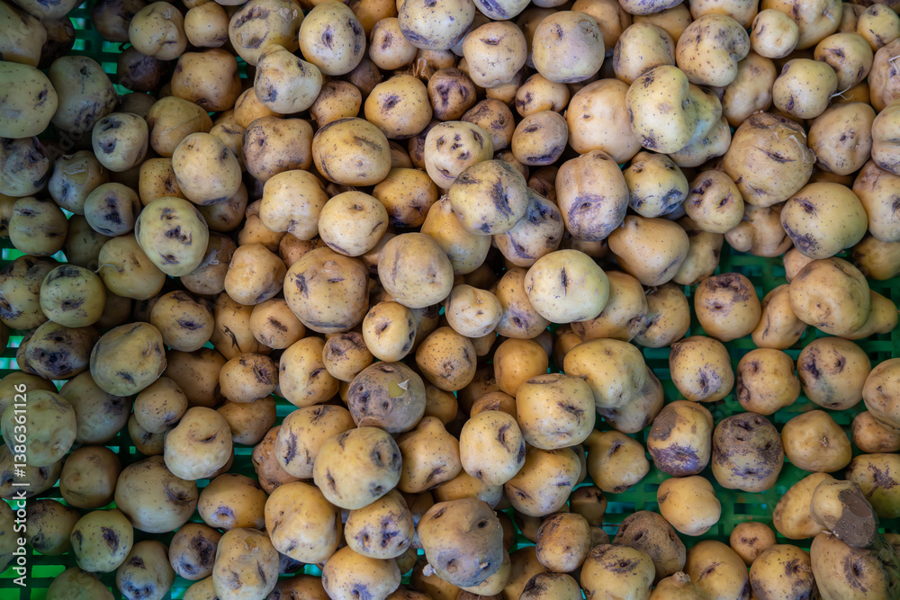 Special small tasty potatoes papas negras on market, main dish on Canary islands, Spain, cooked with salt and served with mojo sauces Special small tasty potatoes papas negras on market, main dish on Canary islands, Spain, cooked with salt and served with mojo sauces