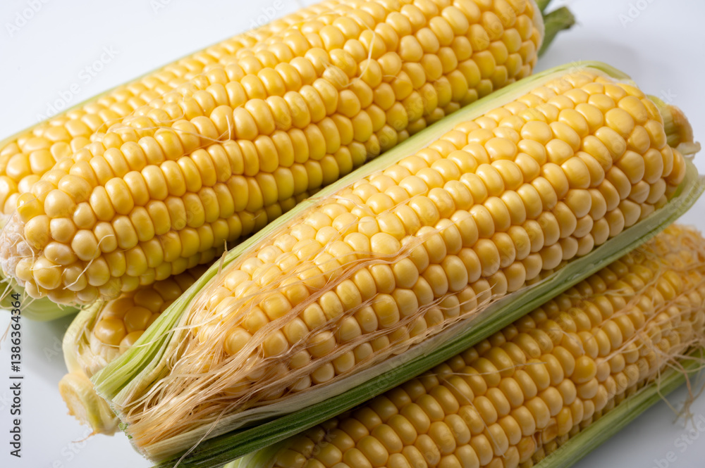 Fresh yellow ripe sweet raw corn, sugar corn or pole corn, variety of maize, uncooked Fresh yellow ripe sweet raw corn, sugar corn or pole corn, variety of maize, uncooked