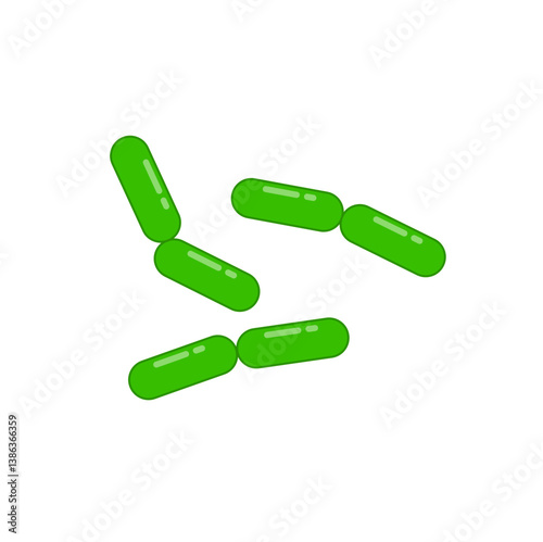 Diplobacillus bacteria morphology. Vector illustration in flat style.