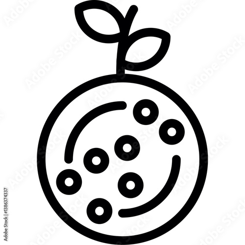 Mandarin Orange Icon