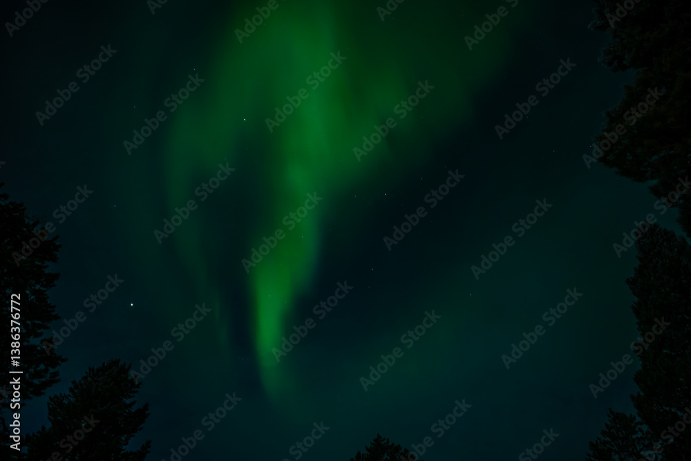 Fototapeta premium Lappland (2025-03) - Nordlichter