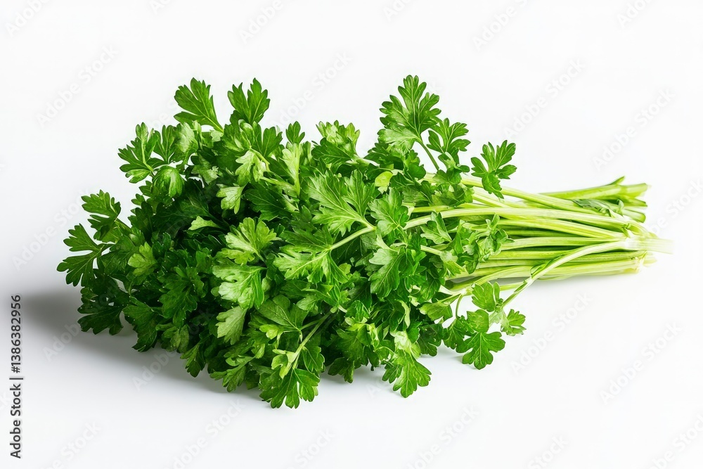 Fresh Parsley Bunch Close-up on White Background for Culinary Use Fresh Parsley Bunch Close-up on White Background for Culinary Use