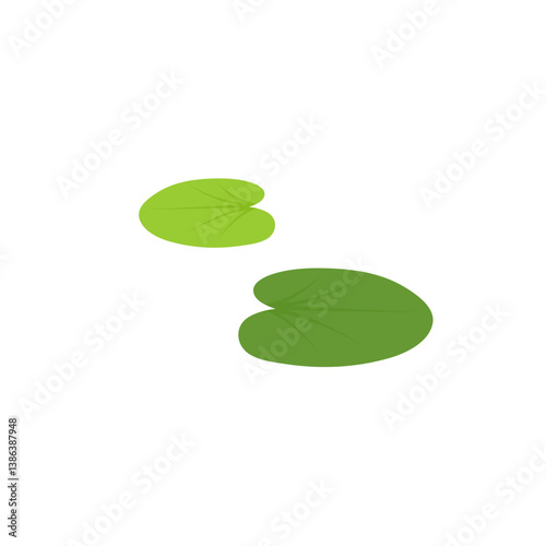 Duckweed lemna minor illustration 