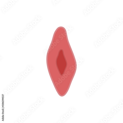 endothelial cell of blood vessel. Vector illustration.