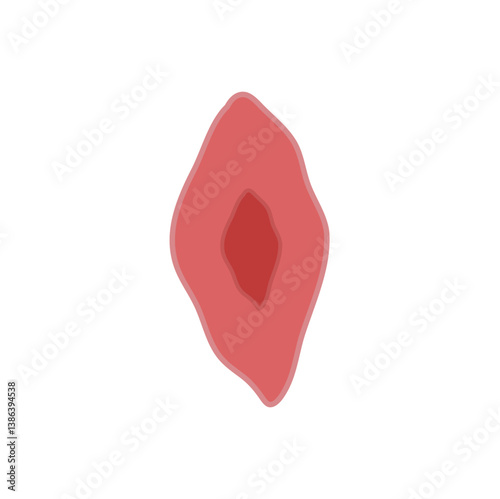 endothelial cell of blood vessel. Vector illustration.