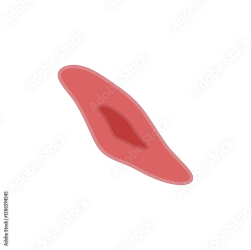 endothelial cell of blood vessel. Vector illustration.