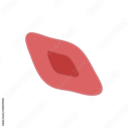 endothelial cell of blood vessel. Vector illustration.