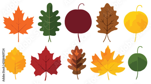 collection of colorful autumn leaves