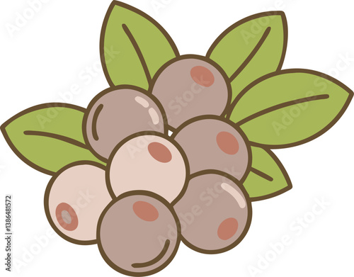 freshly picked blueberries logo