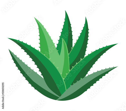 cannabis leaf on white background