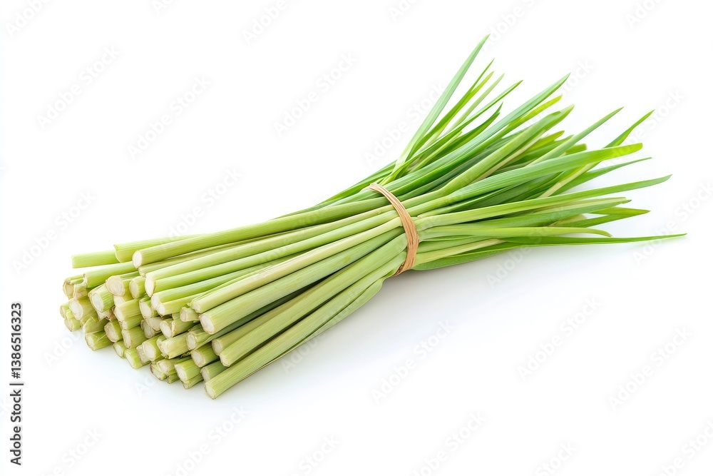 Fresh Lemongrass Bundle on White Background for Cooking Ingredient Use Fresh Lemongrass Bundle on White Background for Cooking Ingredient Use