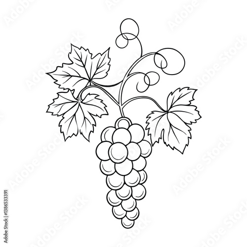 Stylized black ink line-art vector of a grapevine icon with leaves and tendrils, minimalist and elegant for branding purposes.​

