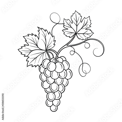 Modern black ink line-art vector of a grapevine icon with minimalist leaves and tendrils, ideal for contemporary designs.​

