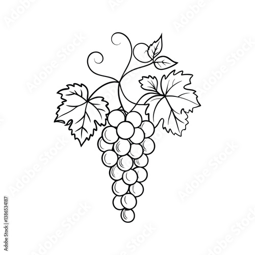 Elegant black ink line-art vector depiction of a grapevine with detailed leaves and tendrils, minimalist design on white background.​


