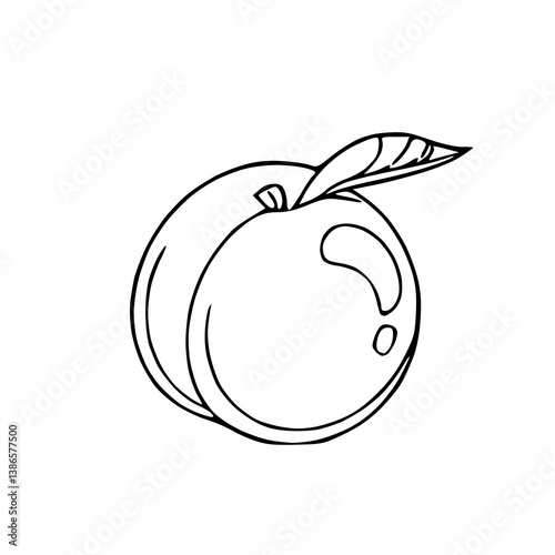 fresh peach outline vector