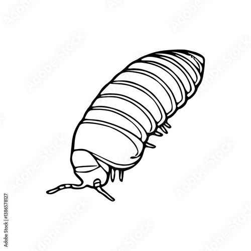 woodlouse insect outline vector
