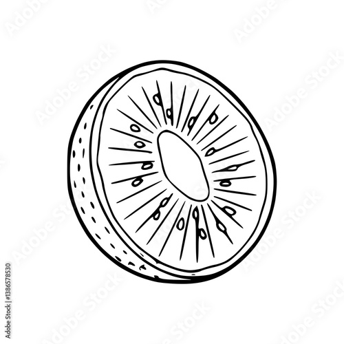 fresh kiwi slice outline vector