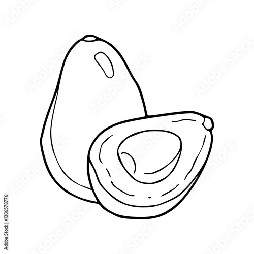 fresh avocado outline vector