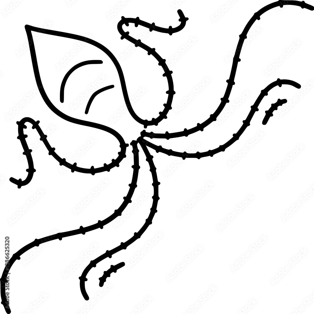 Decorative Corner Ornament Decorative Corner Ornament