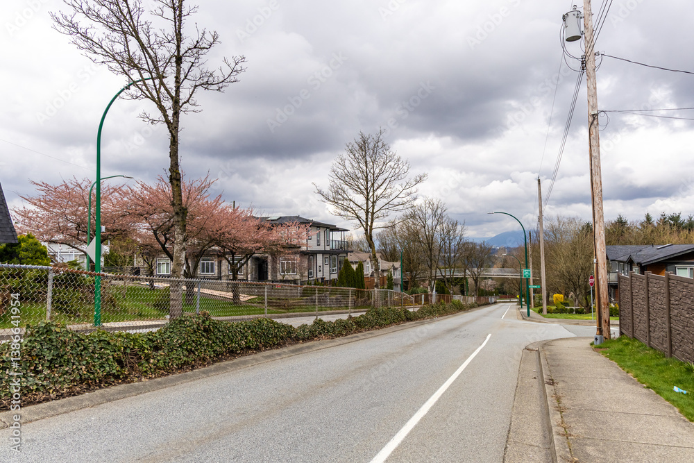 Fototapeta premium Quiet Residential Street with Spring Blossoms in New Westminster, BC, Canada