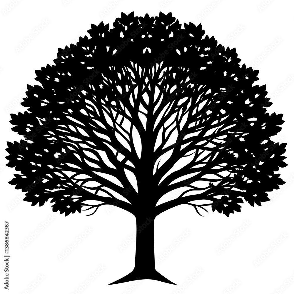 Naklejka premium Beech tree isolated on white background