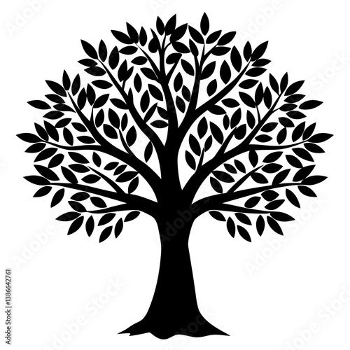 Olive tree isolated on white background