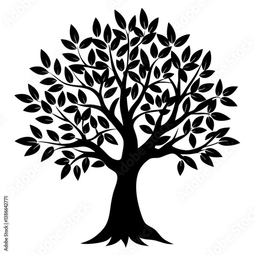 Olive tree isolated on white background