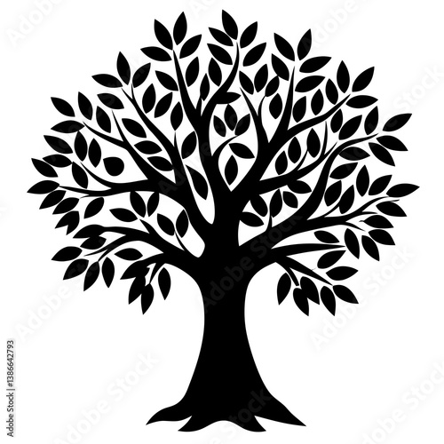 Olive tree isolated on white background