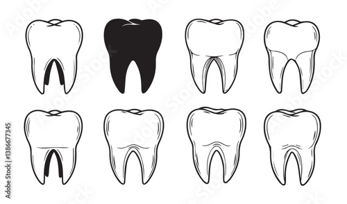 Creative Teeth Designs Capturing Anatomical Variations in Dental Shapes Illustrated Through Detailed and Solid Forms for Artistic Inspirations

