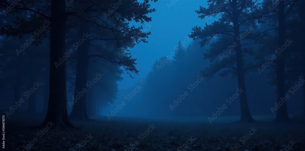 Fototapeta premium Dark blue abstract background with gradient of black and mysterious forest at night, trees, woods