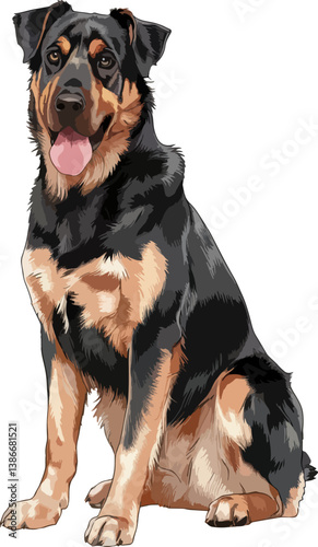 alsatian dogs vector