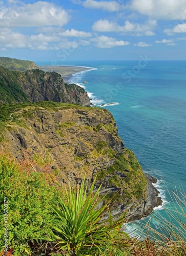 stunning coastal  views of the headlands, pacific ocean and cabbage tree from the mercer bay loop  hiking trail on a sunny summer day near piha, on the west coast of the north island of new zealand photo