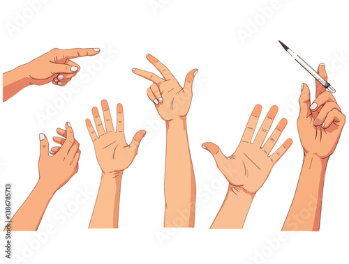 Hand gestures in different positions. Vector hands showing and pointing, holding and representing isolated on white background