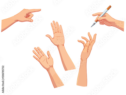 Hand gestures in different positions. Vector hands showing and pointing, holding and representing isolated on white background