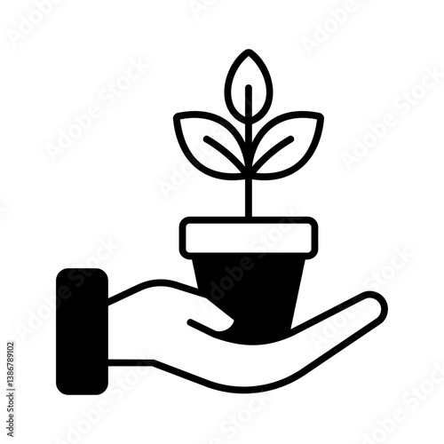 caring for plants