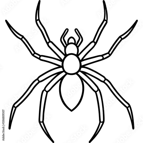 Minimal Brown Recluse Spider Line Vector