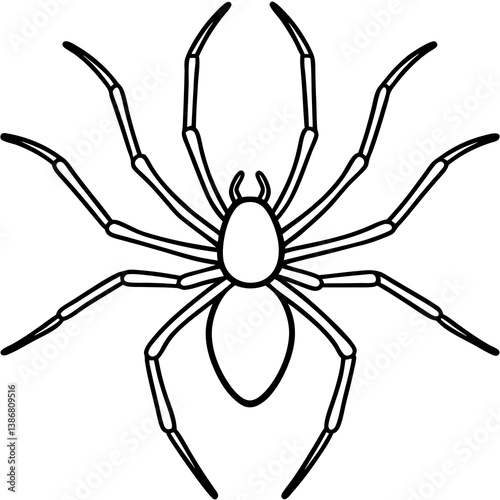Minimal Brown Recluse Spider Line Vector
