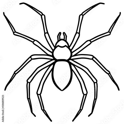 Minimal Brown Recluse Spider Line Vector
